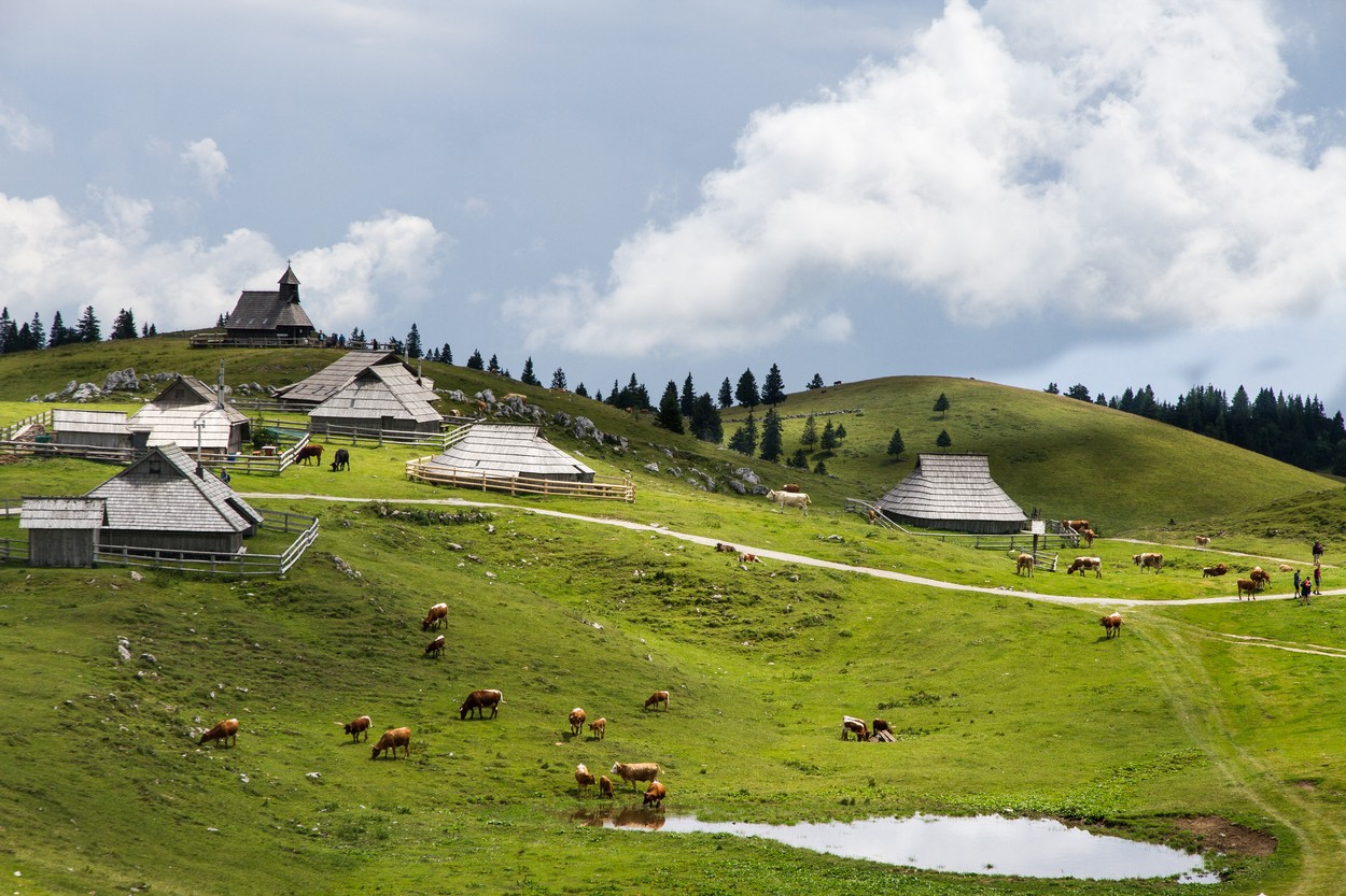 Dolina Kamniške Bistrice in Velika planina ponovno dostopni N1