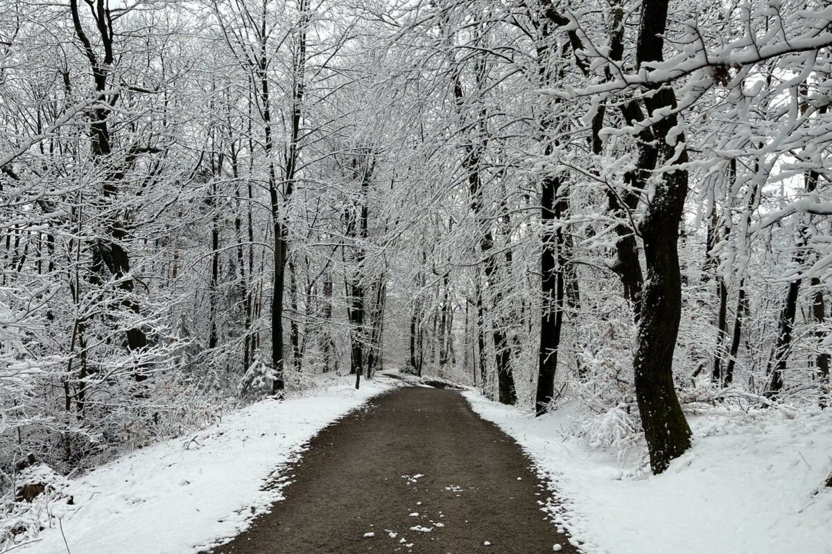 Prihaja Nova Po Iljka Snega Koliko Ga Bo Zapadlo In Kdaj N