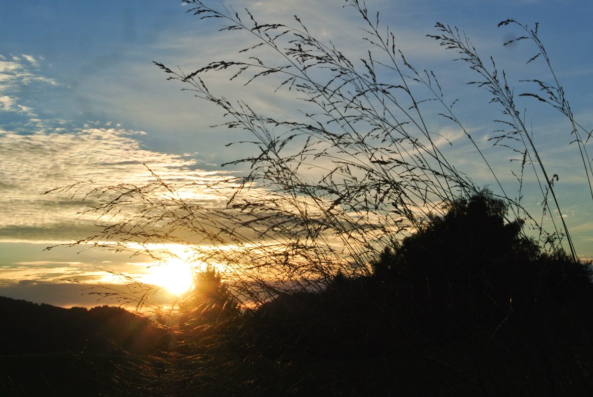 Začetek tedna nekoliko jasnejši, jutra bodo mrzla