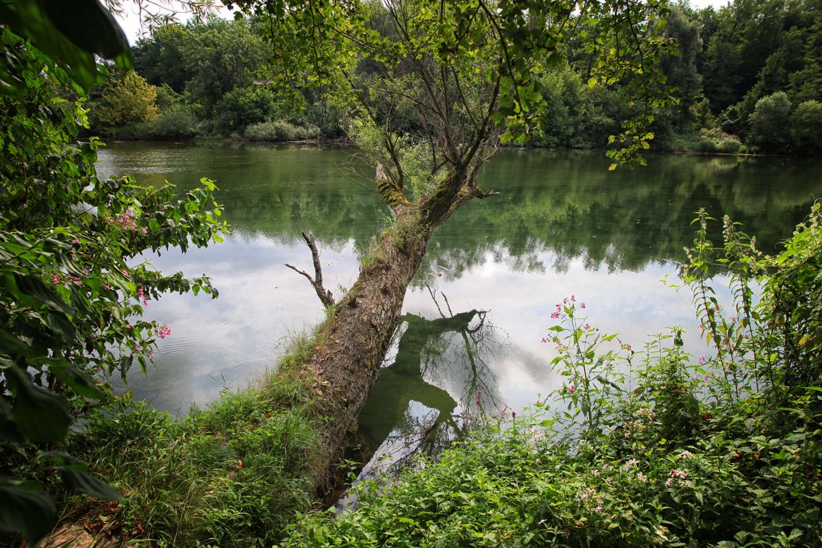 Pogrešano osebo našli mrtvo v reki Kolpi