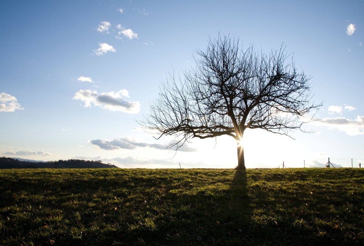 Pred nami prijeten in precej topel dan