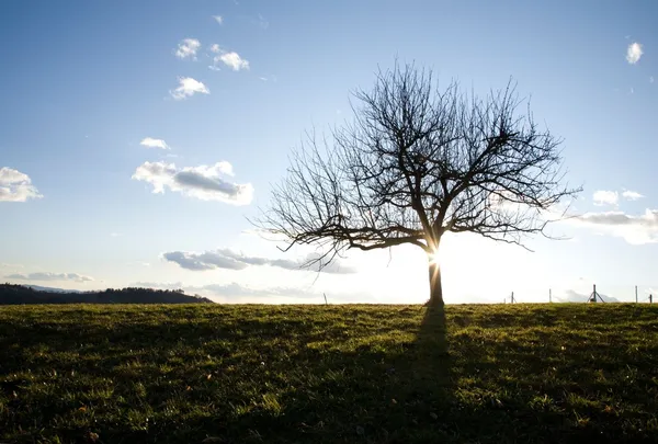 Pred nami prijeten in precej topel dan