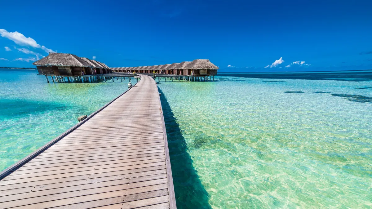 Našli trupla pogrešanih italijanskih potapljačev na Maldivih