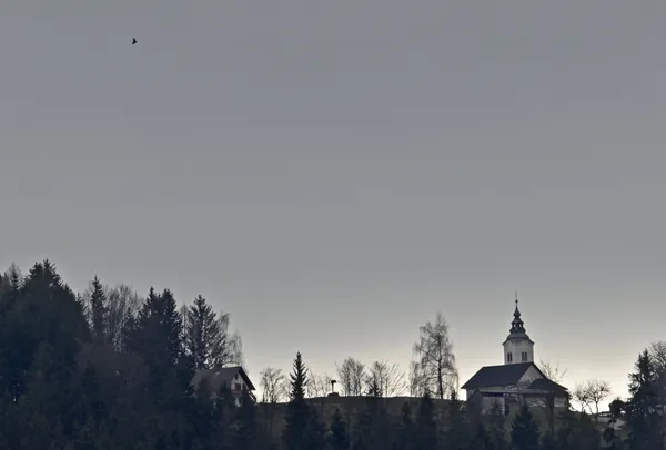 Prvi dnevi meteorološke zime ne bodo prinesli beline, prej sivino