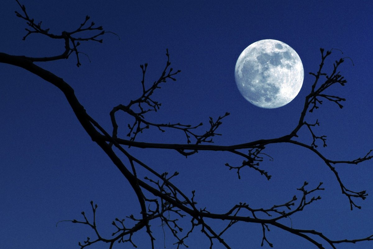 Nasa močno spremenila načrte za obisk Lune