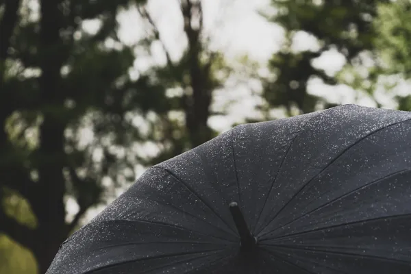 Kje bo danes sonce in kje vas čaka dež?