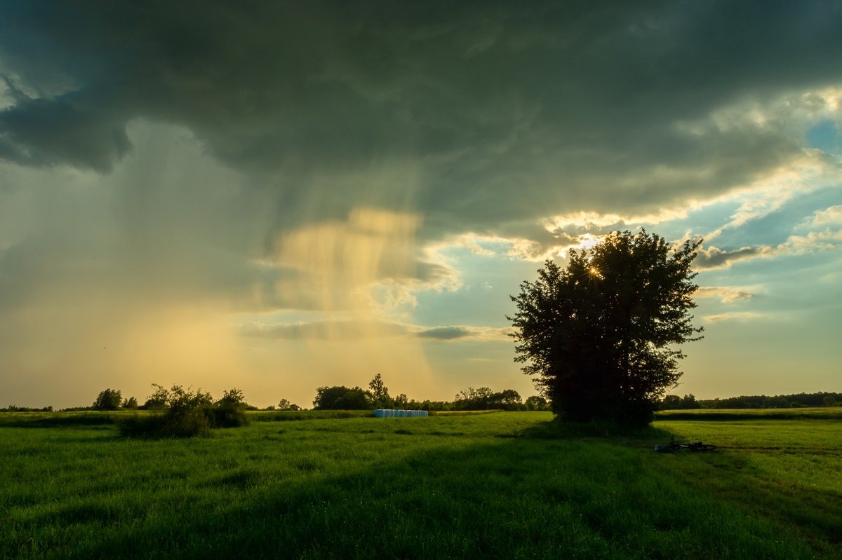 Dopoldne nas bo še grelo sonce, popoldne pa lahko računamo tudi na močnejše nevihte