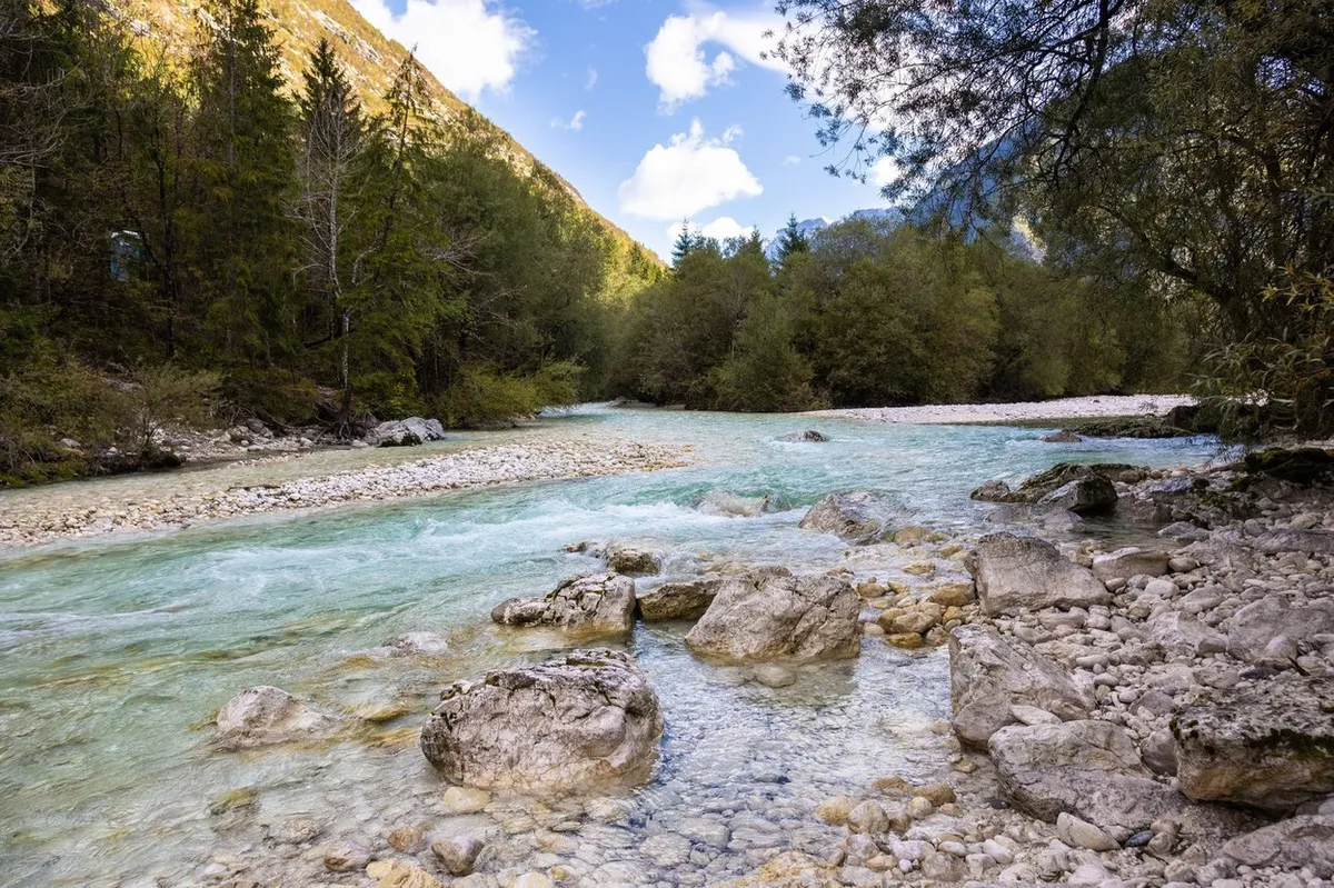 Skupina Italijanov ob Soči izobesila nacistično zastavo in kurila ogenj