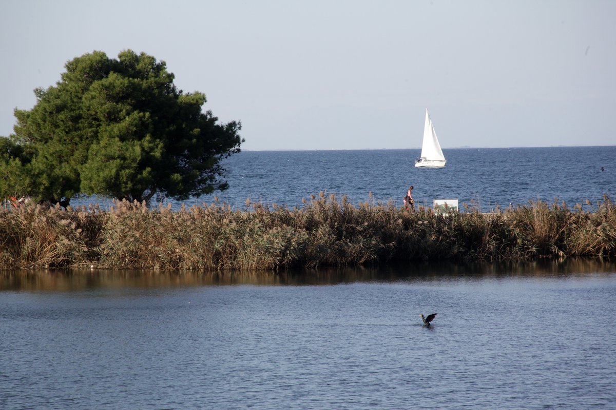 Piranska občina zavrača kritike civilne iniciative: "Zelenih površin se ne zmanjšuje"