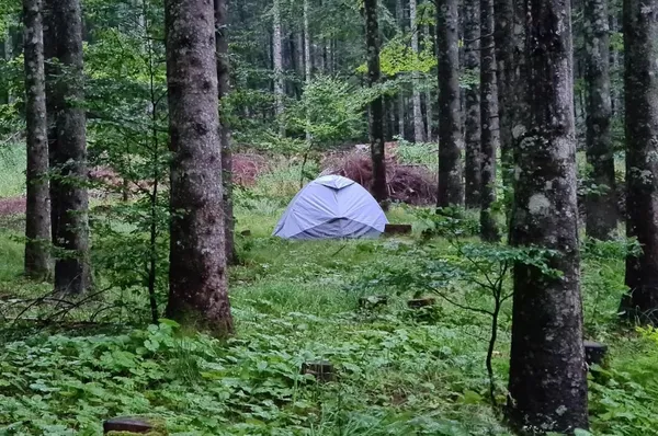 Občine v Julijskih Alpah napovedujejo drastično zvišanje kazni za kampiranje na črno