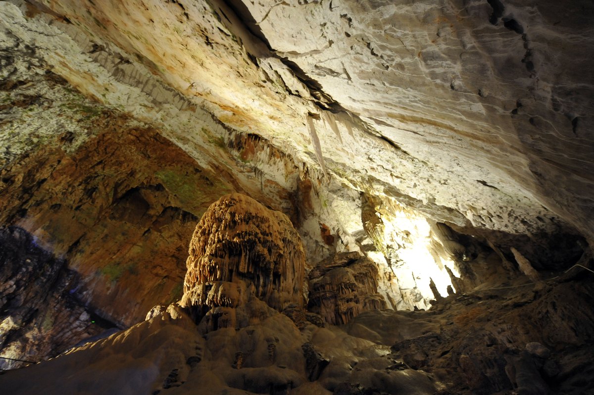 Unesco na pobudo Slovenije razglasil nov mednarodni dan