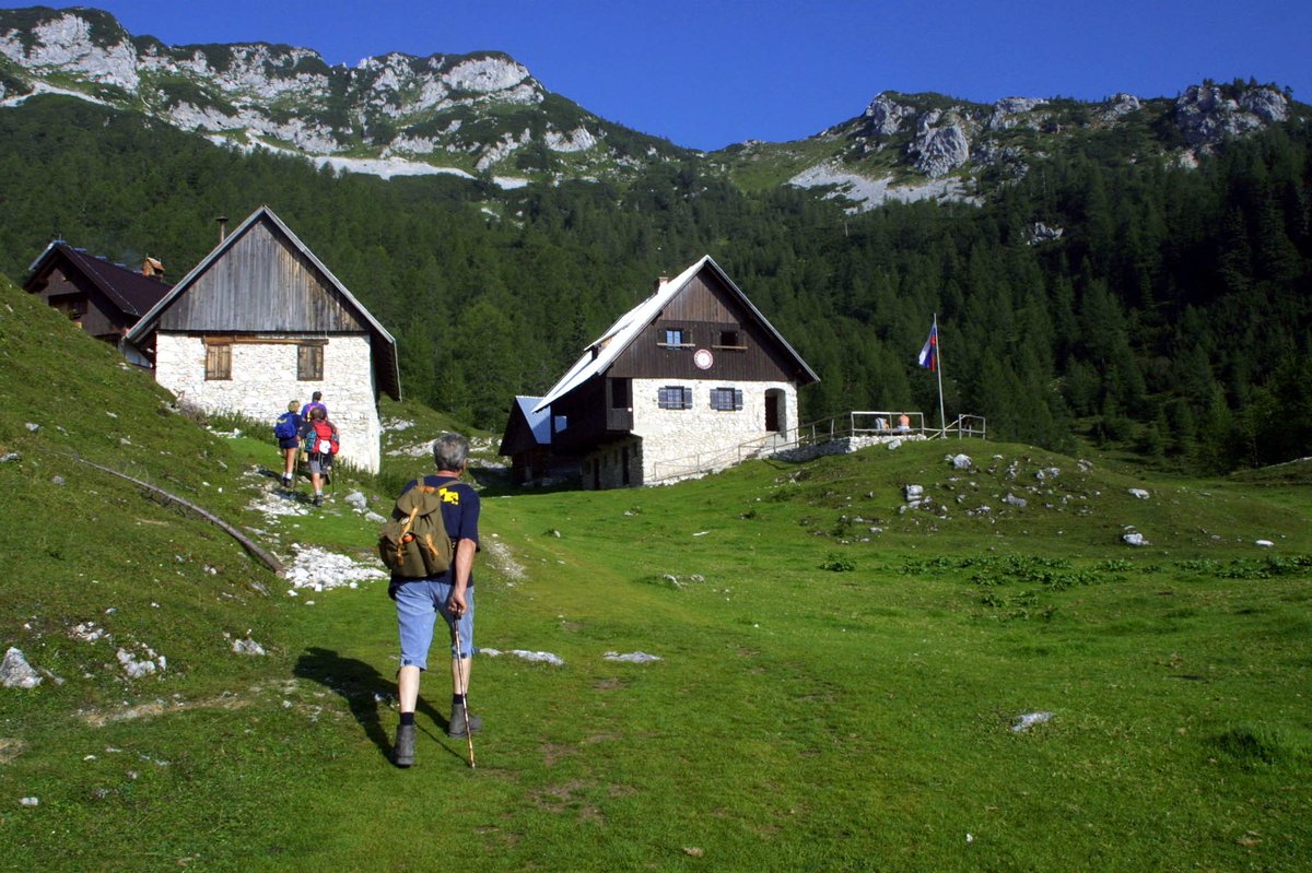 Pri Blejski koči trije ugrizi kač v dveh dneh. Kaj pravi strokovnjak