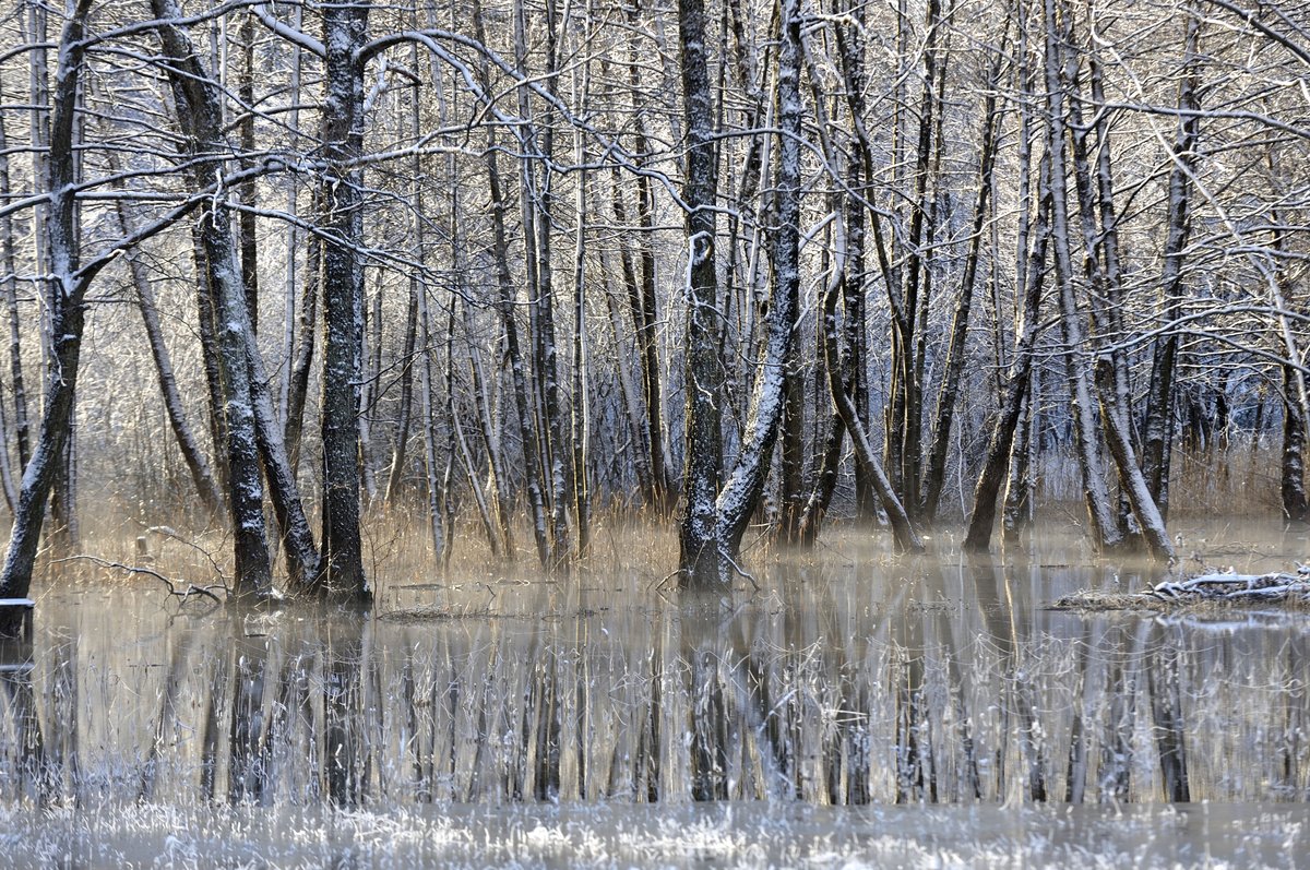 Mraz bo začel počasi popuščati, ob koncu tedna se vračajo padavine. Tudi sneg?