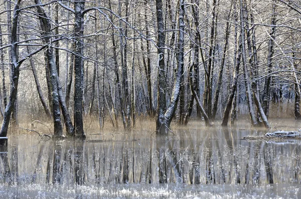Mraz bo začel počasi popuščati, ob koncu tedna se vračajo padavine. Tudi sneg?