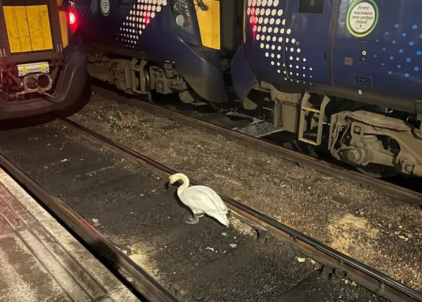 Labod povzročil zamude in odpovedi vlakov