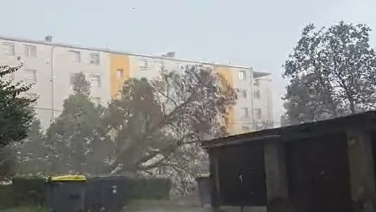 Poglejte, kako je veter izruval drevo v Šiški (VIDEO)