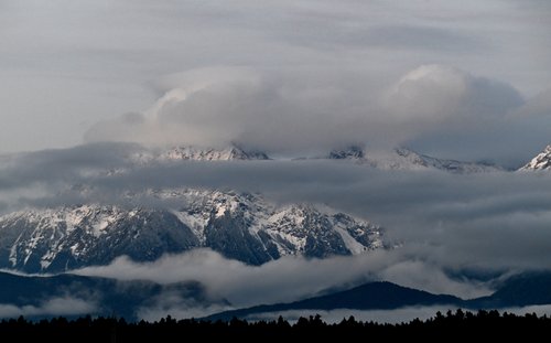 Gore pobelil prvi letošnjih sneg
