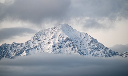 Gore pobelil prvi letošnjih sneg