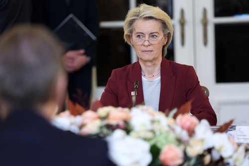 Ursula von der Leyen, MED9