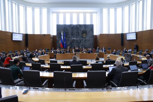 Državni zbor interpelacija Simona Maljevca