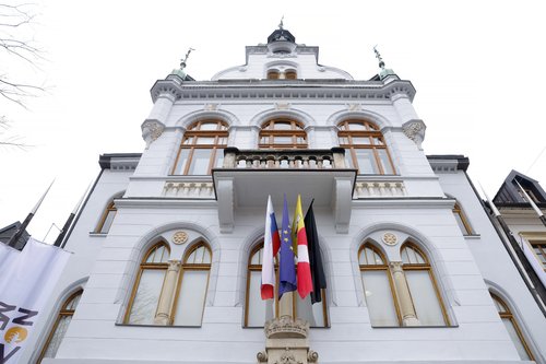 Mestna občina Novo mesto