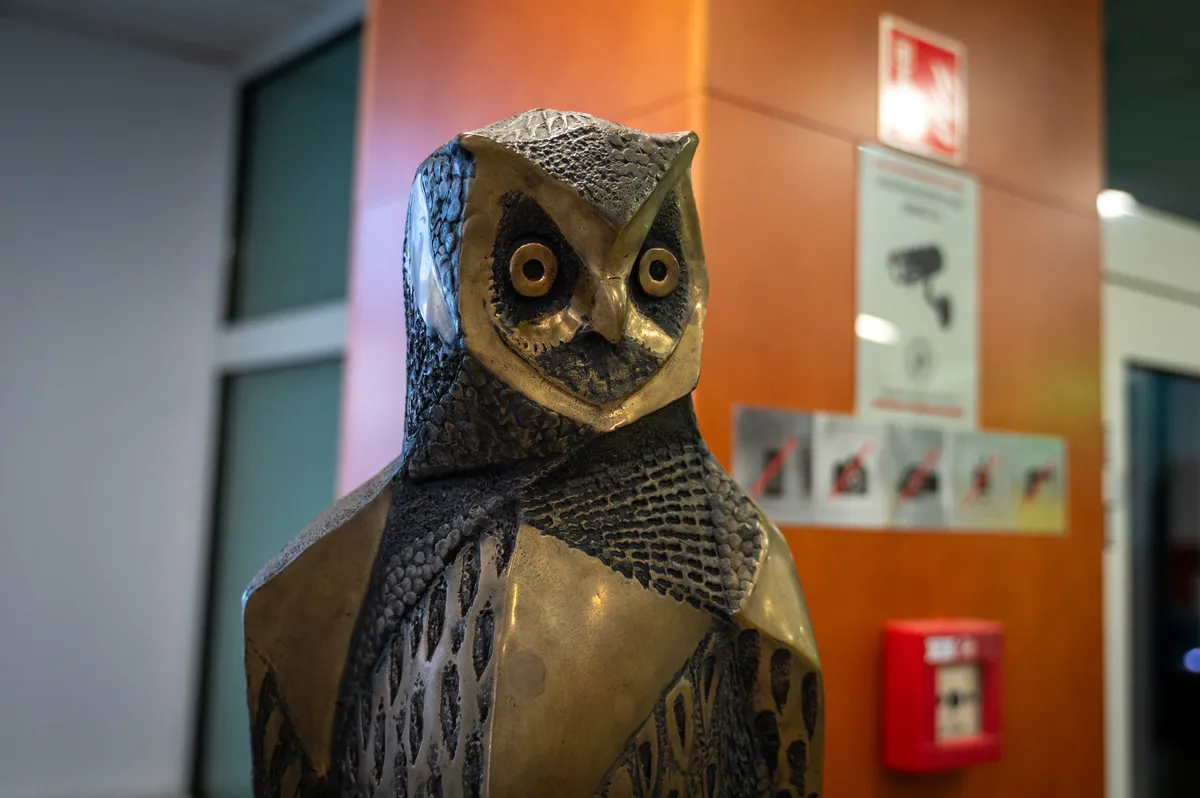 Sova zanika nabavo geolokacijskega orodja in očitke, da so Stevanoviću sledili