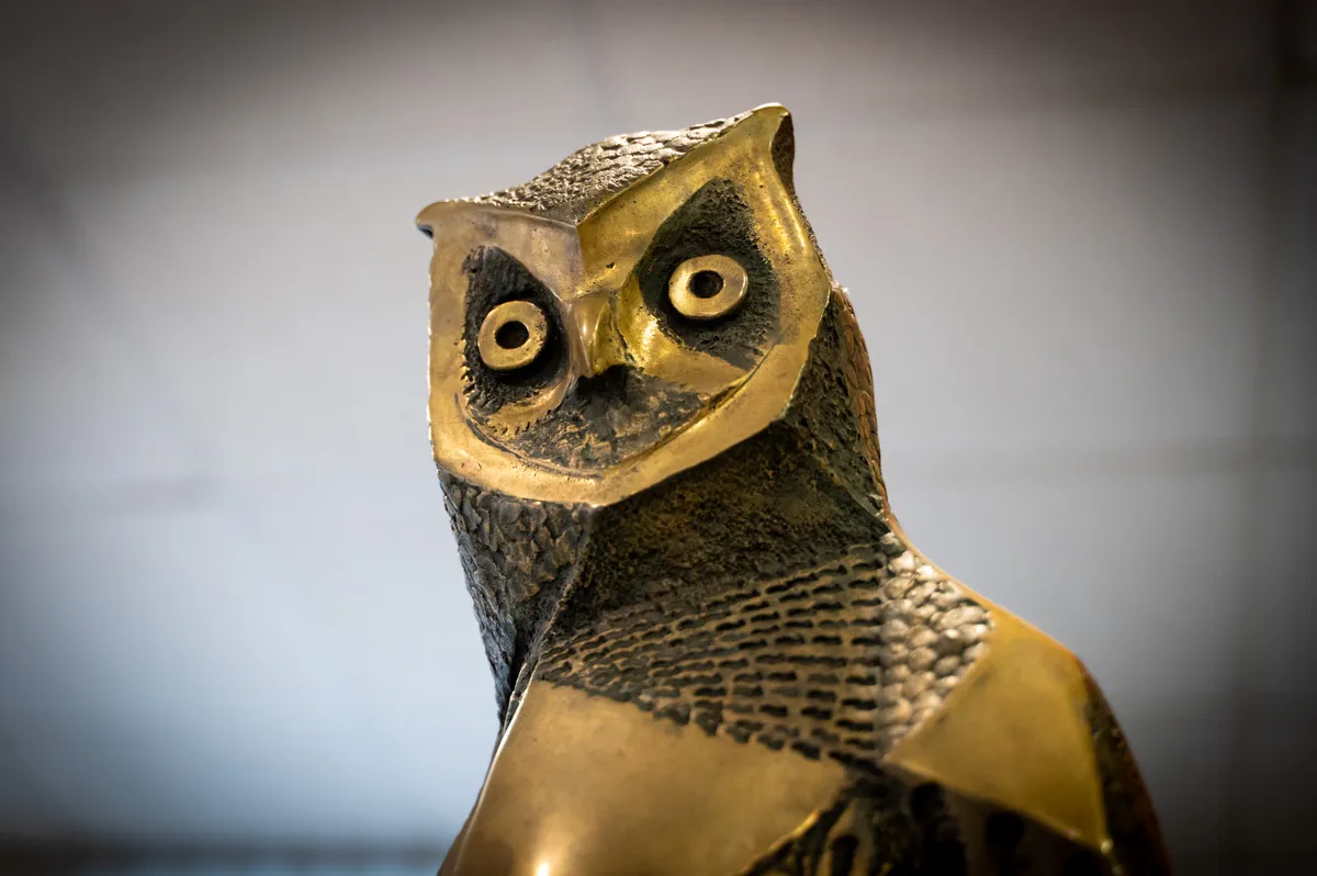 Sova odgovarja: "Predlog zakona nikakor ne omogoča neomejenega posega v zasebnost"