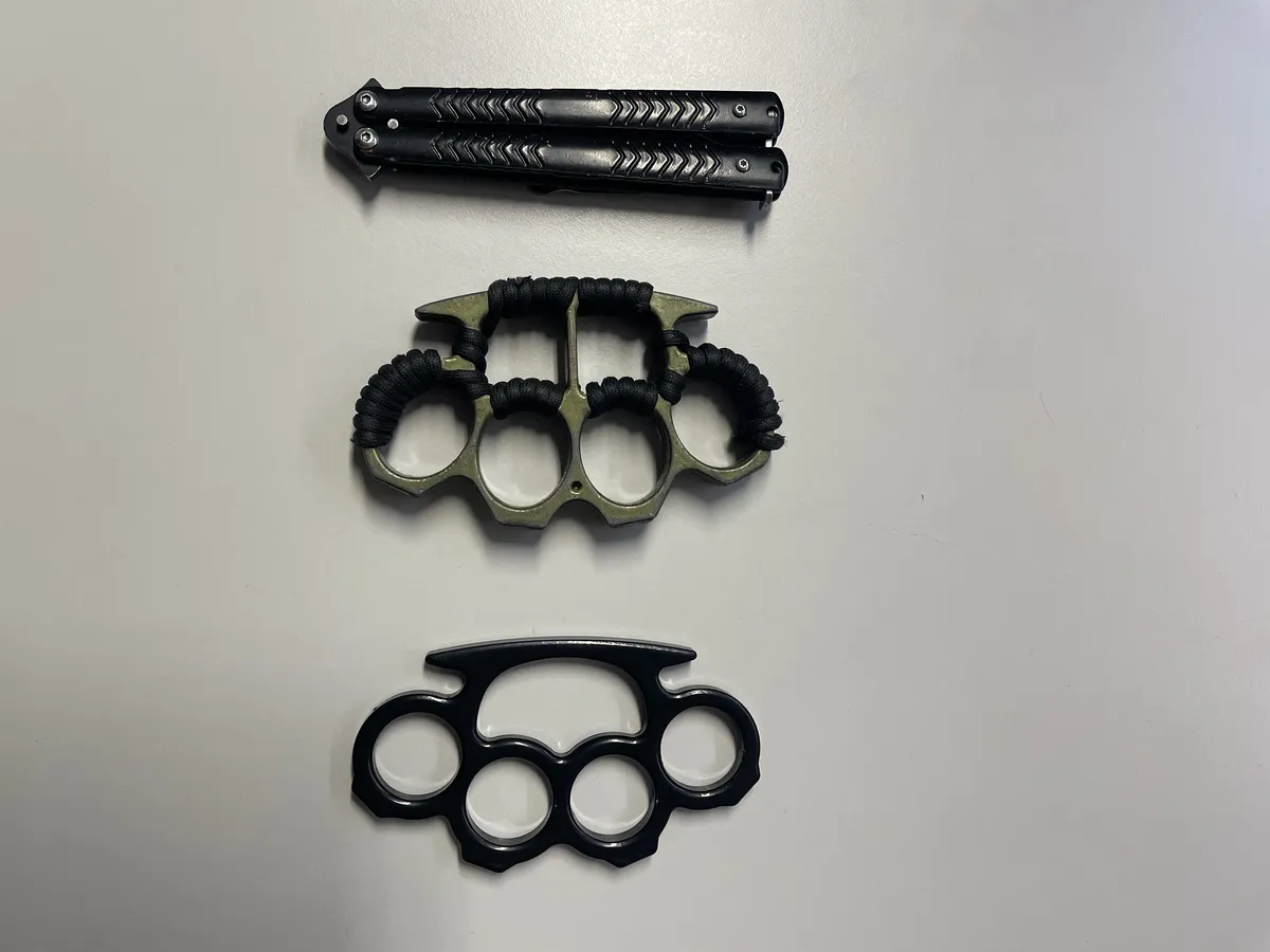 Policija na protestnem shodu v Novem mestu zasegla tudi mačeto in dva bokserja