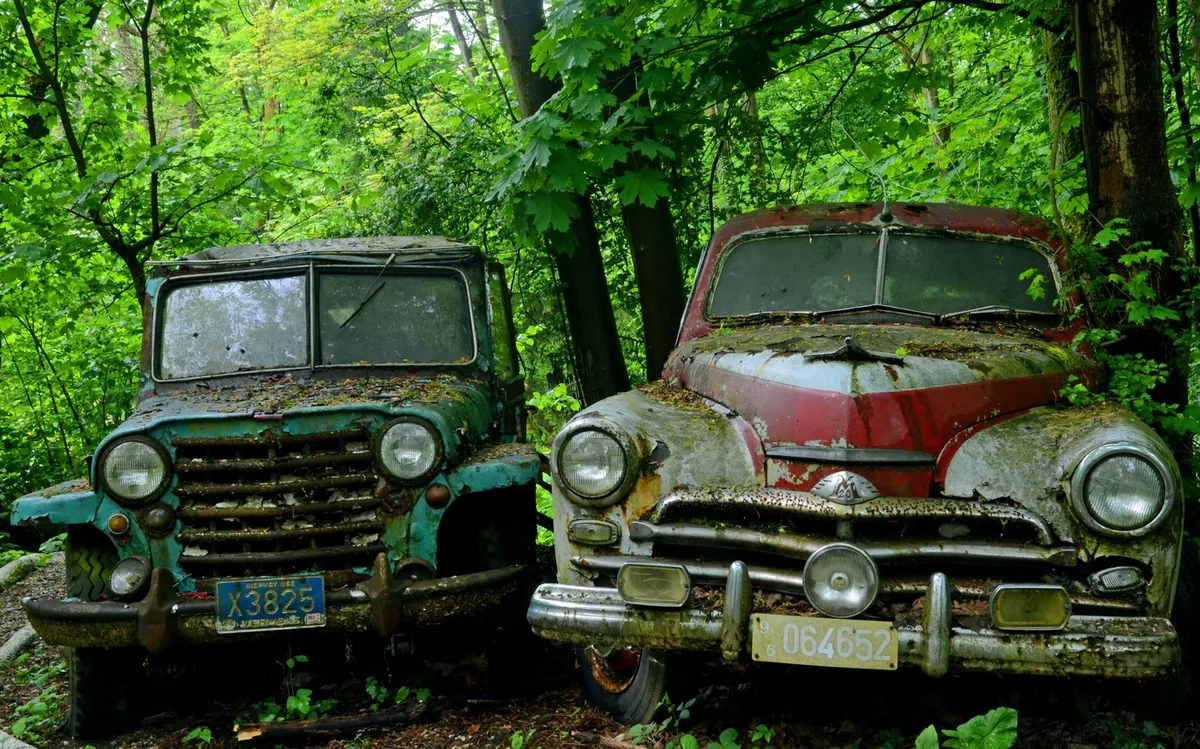 Za 50. rojstni dan si je kupil 50 starodobnih vozil in jih pustil v gozdu (FOTO)