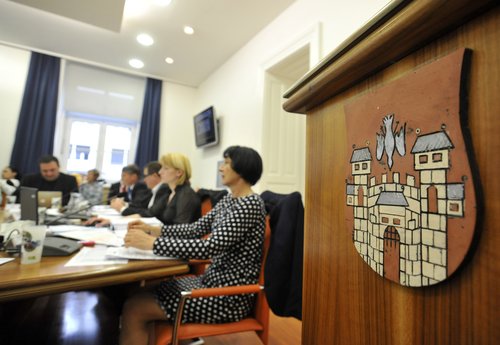 Mariborski mestni svet