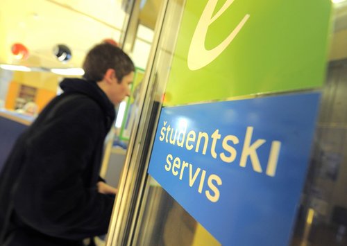 e-študentski servis, študentsko delo