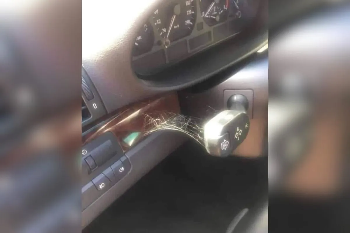 Ob fotografiji iz tega avta vsi umirajo od smeha: hitro boste videli, zakaj