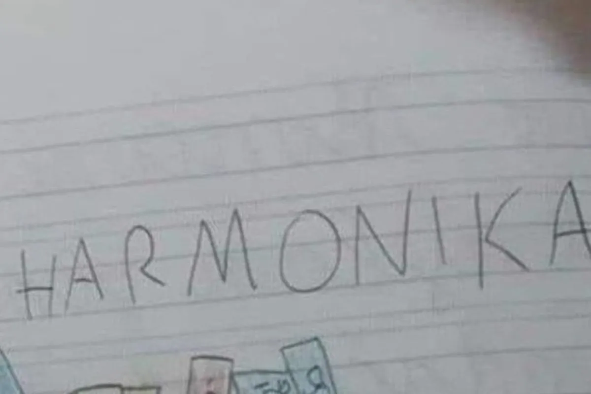 Učenec narisal harmoniko, a ena podrobnost je učiteljico nasmejala do solz