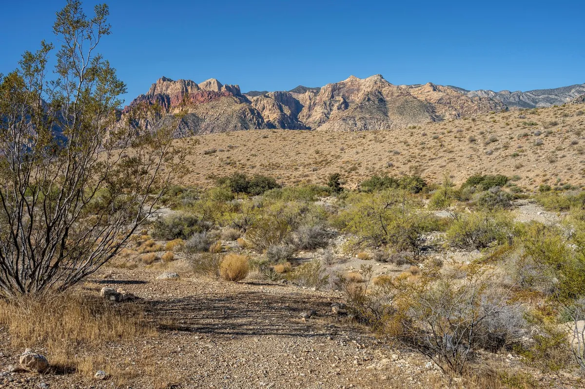 Kup vprašanj zaradi velikih kupov pepela blizu Las Vegasa: "Gre za upepeljene človeške ostanke"