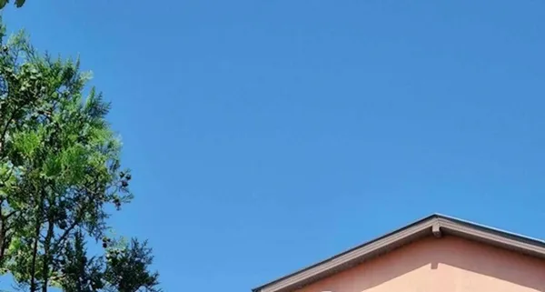 Balkanska iznajdljivost nima meja: poglejte, kam je postavil senčnik (FOTO)