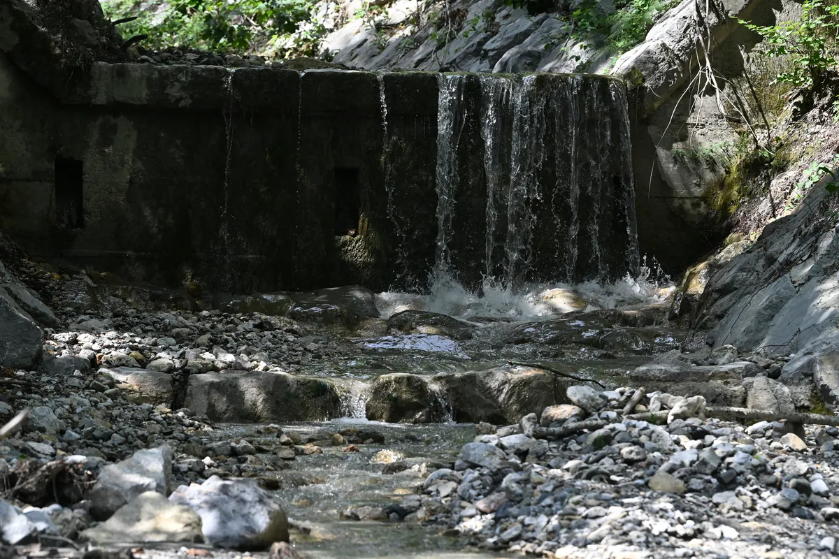 Vlada po le dveh mesecih razrešila direktorico direkcije za vode