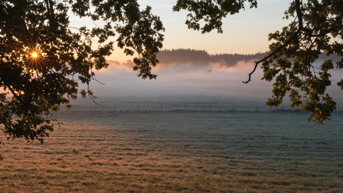 Sonce se marsikje poslavlja, megla bo lahko vztrajala ves dan