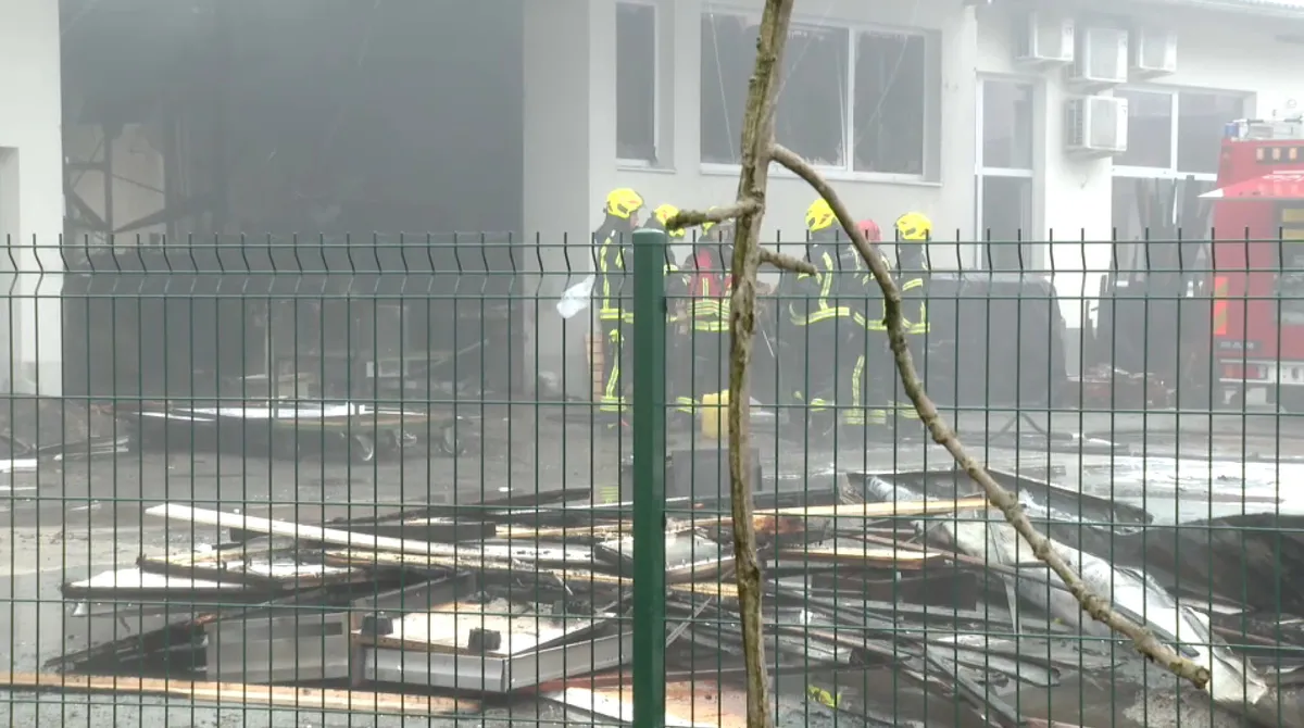 Vzrok za požar pri Radomljah še ni znan, na požarišču ostaja požarna straža (VIDEO)