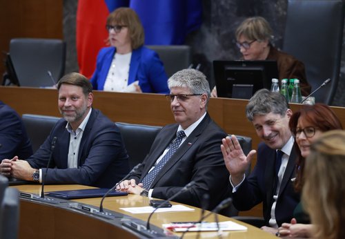 Vlada v državnem zboru