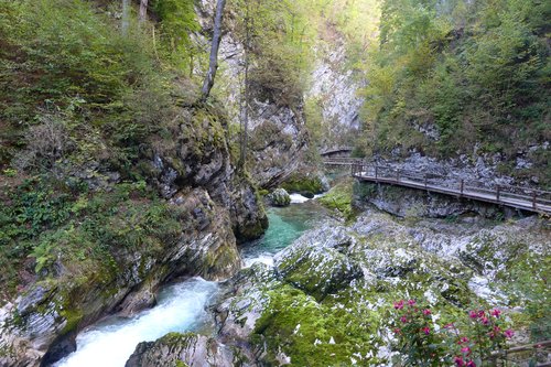 Slovenija, Bled, 18.10.2021, 18. oktober 2021 Blejski Vintgar, turistična destinacija, narava, reka Radovna, turizem, pešpot, triglavski narodni parkFoto: Borut Peršolja/Bobo