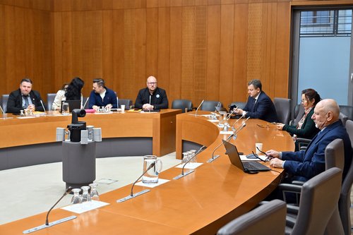 Branko Zlobec pred odborom DZ