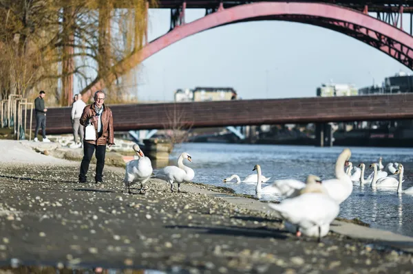 Samo v Mariboru. Posnetek, ki je nasmejal splet