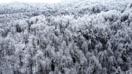 Slovenijo je pobelila snežna odeja