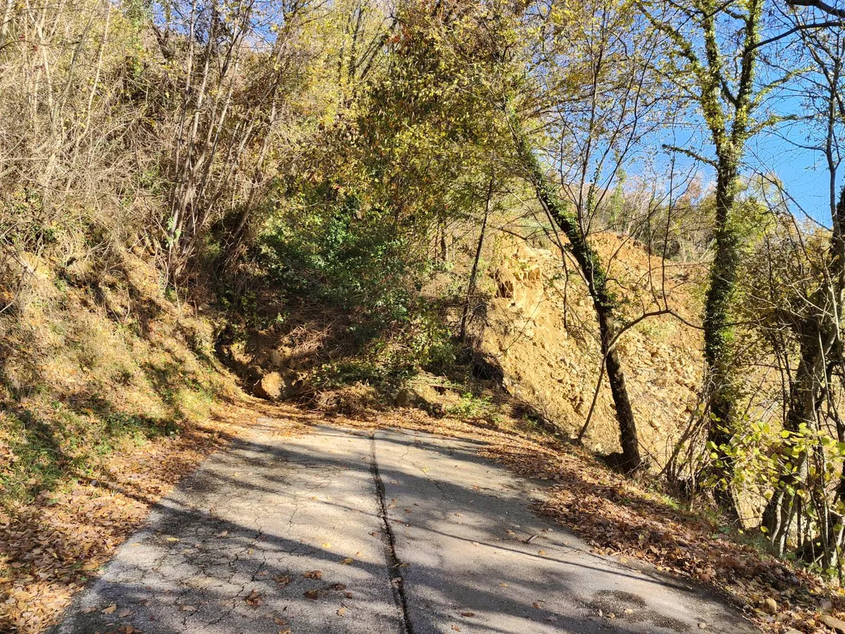 Ranjena Brda dan po ujmi: "Ko smo zjutraj pogledali, je bila katastrofa" (REPORTAŽA)