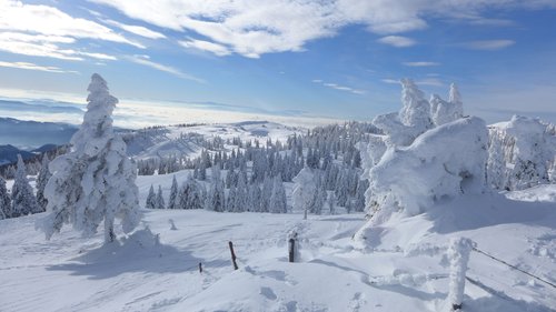 Velika planina, sneg, zima