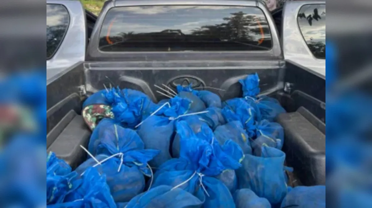 V vozilu našli 81 modrih vreč: v njih se je skrivala "skrb vzbujajoča resnica"
