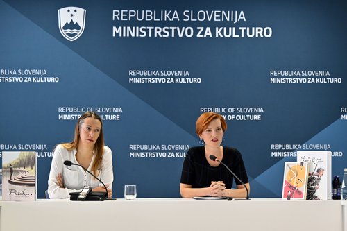 Nacionalni dan stripa