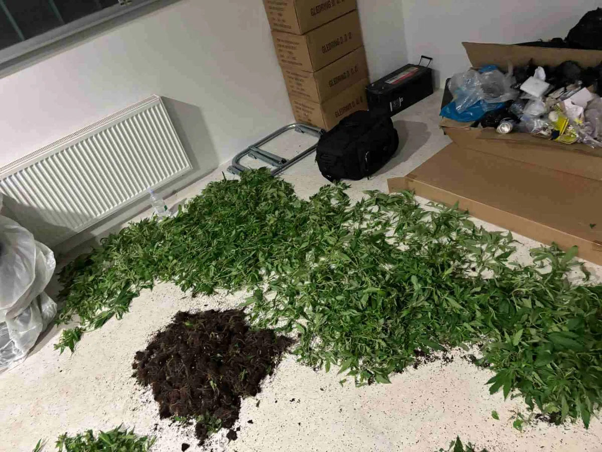 V Trzinu odkrili obsežen laboratorij prepovedane droge