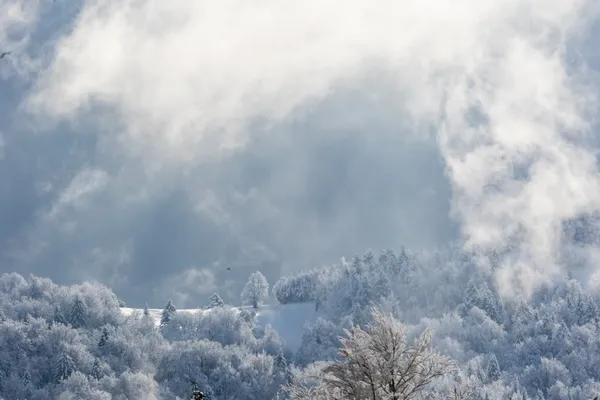 Meja sneženja se bo spuščala: bi lahko pobelilo tudi nižine?