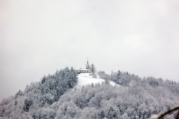 Meja sneženja se je ponoči precej spustila, sledijo suhi in hladnejši dnevi